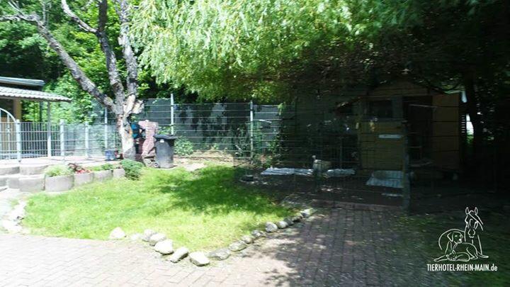 Hundewelt Impression 2