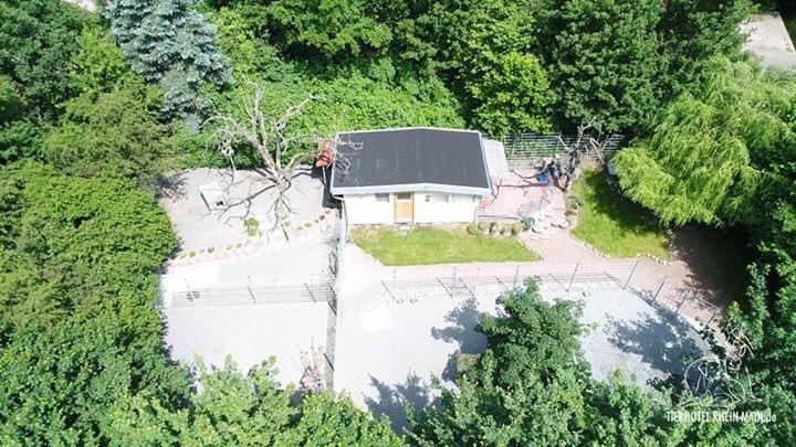 Hundewelt Impression 3