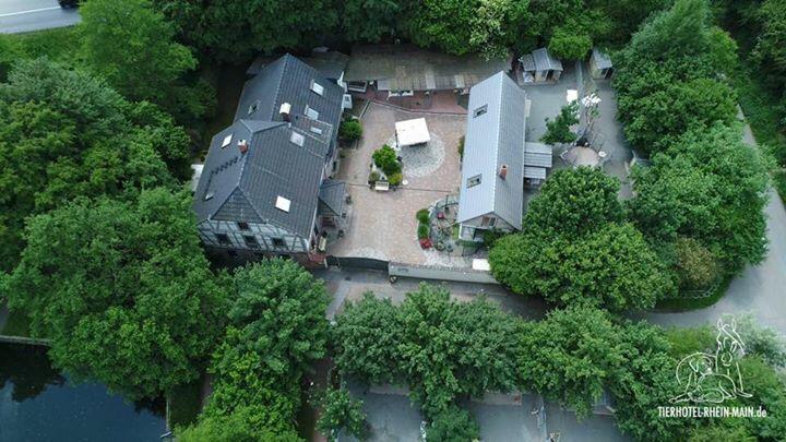 Hundewelt Impression 4