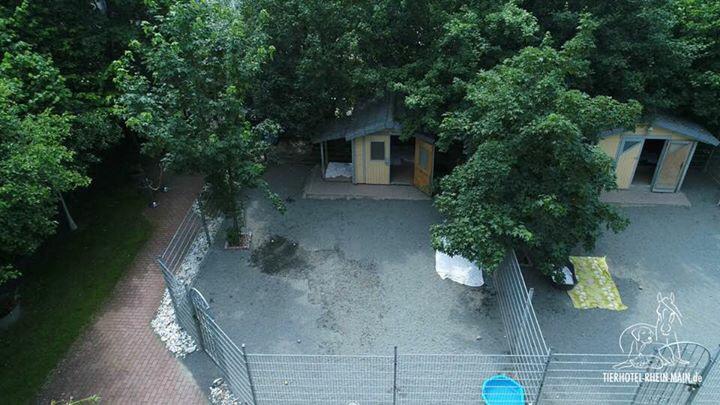 Hundewelt Impression 5