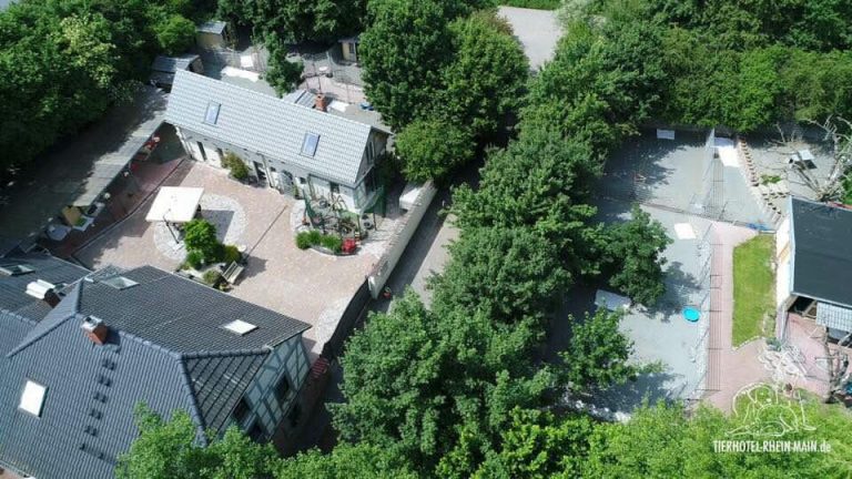 Hundewelt Impression 6