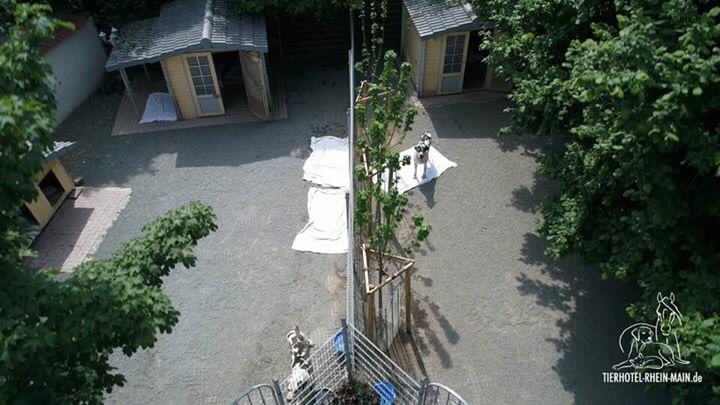 Hundewelt Impression 7