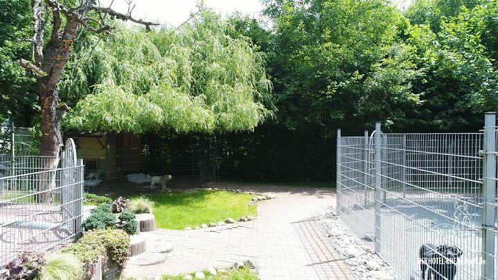 Hundewelt Impression 8