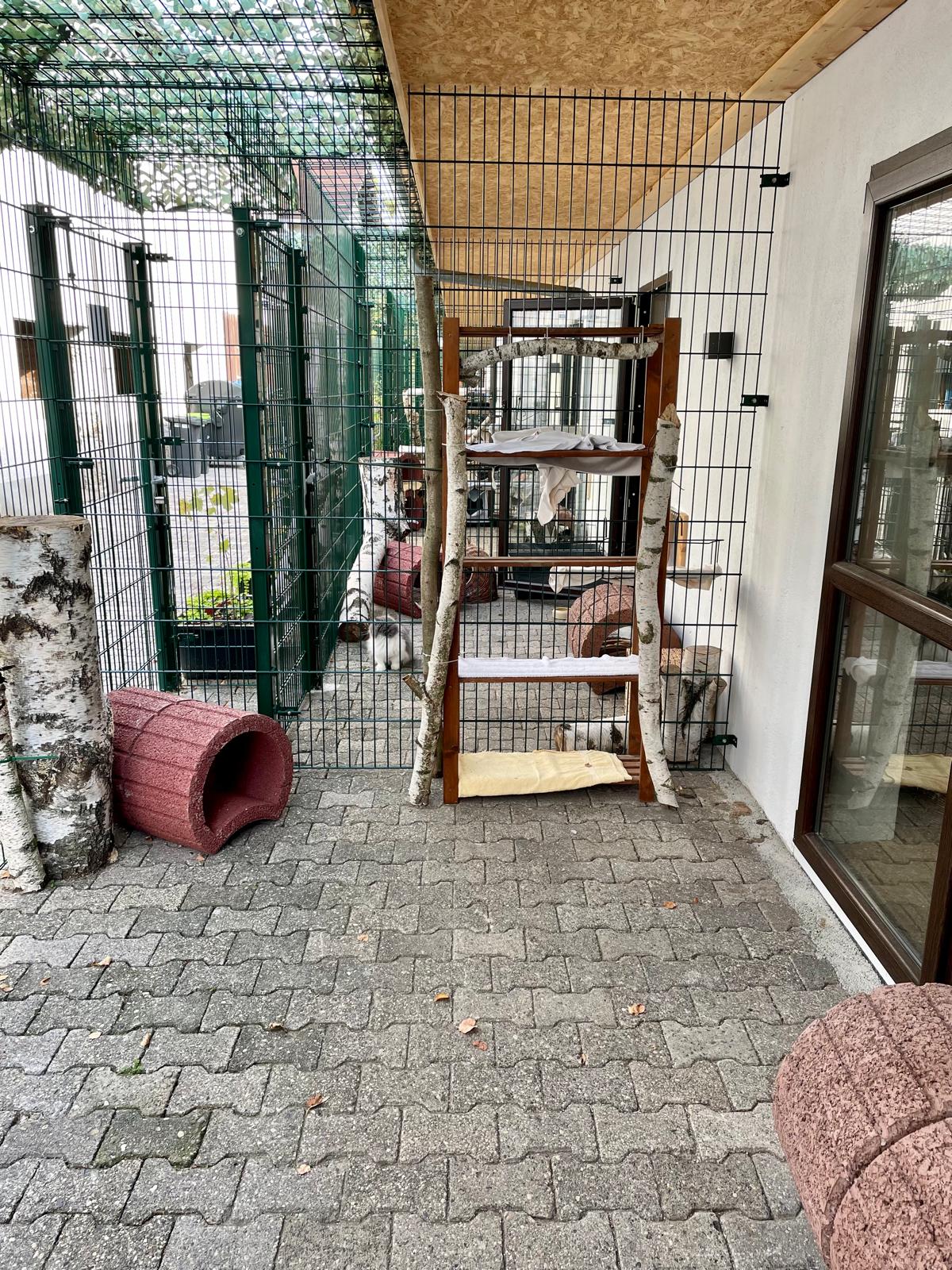 Katzenwelt Impression 11