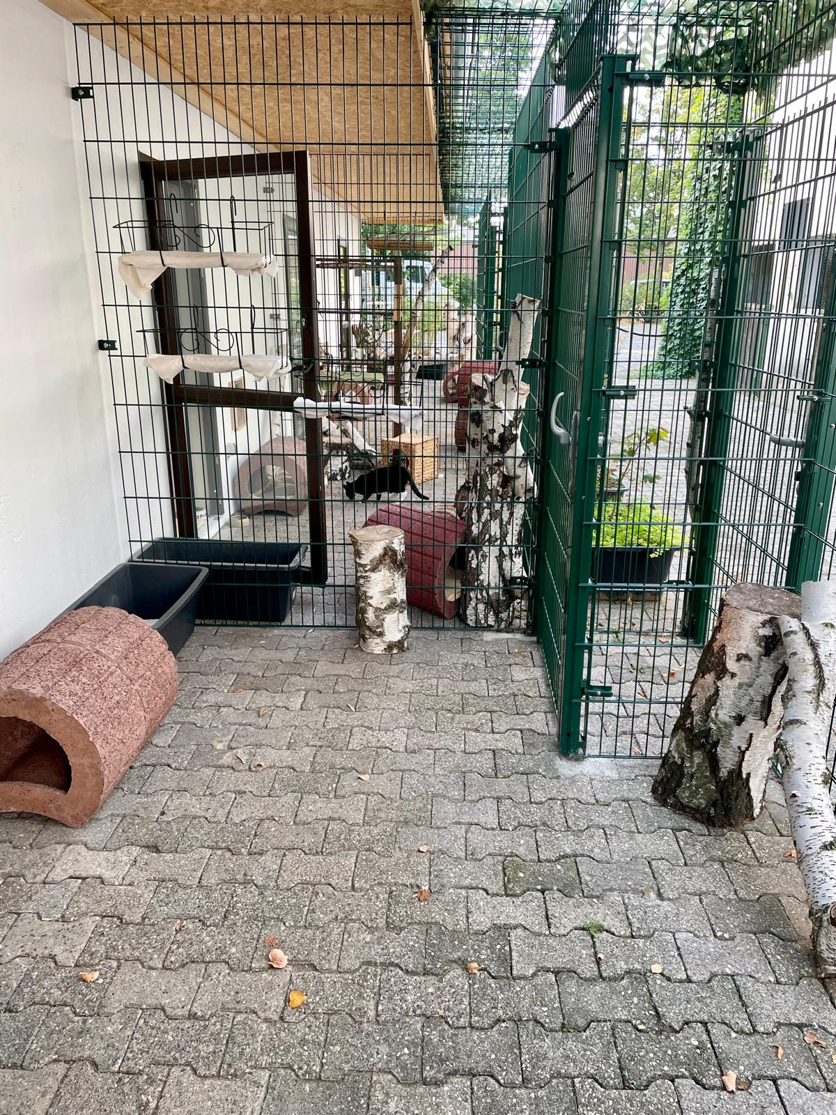 Katzenwelt Impression 12