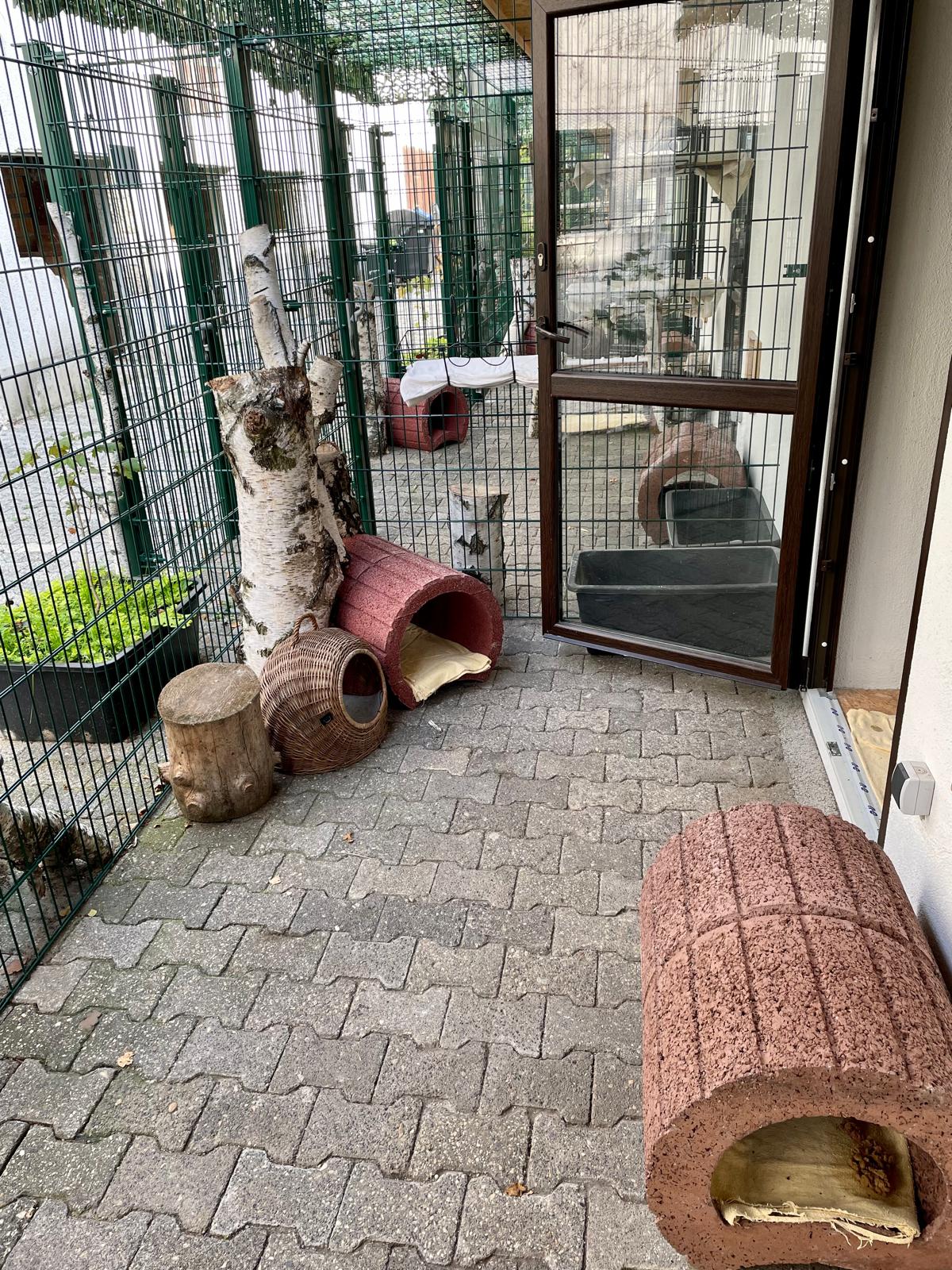 Katzenwelt Impression 13