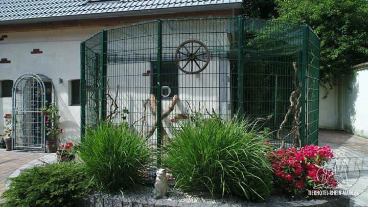 Katzenwelt Impression 14