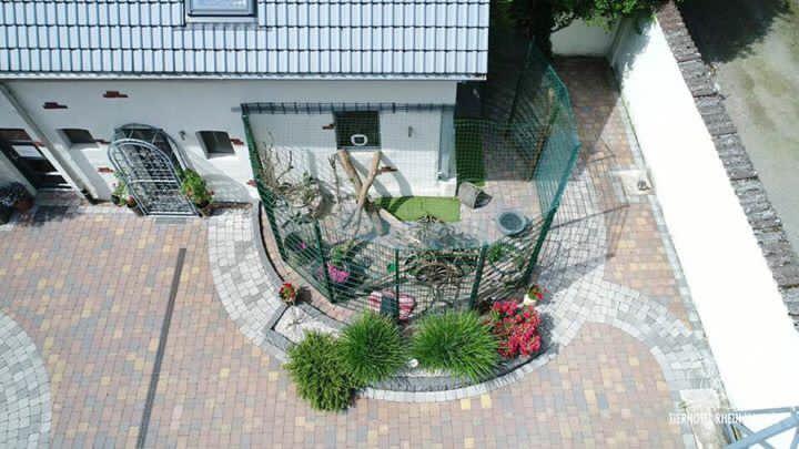 Katzenwelt Impression 15