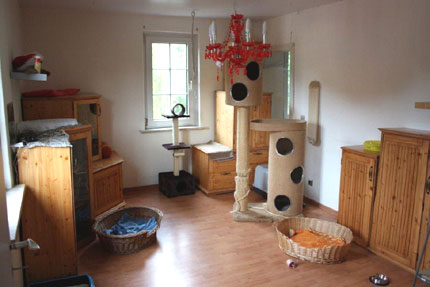 Katzenwelt Impression 17