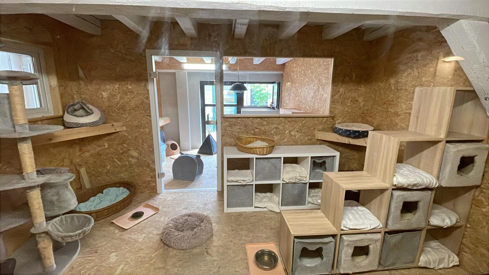 Katzenwelt Impression 4