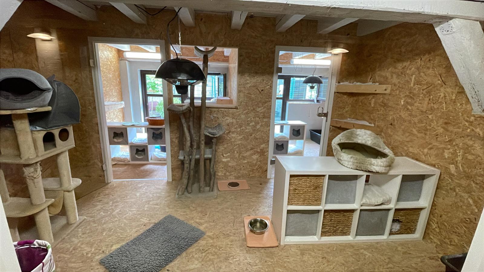 Katzenwelt Impression 5