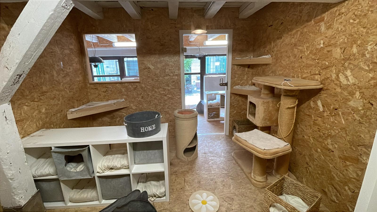 Katzenwelt Impression 6