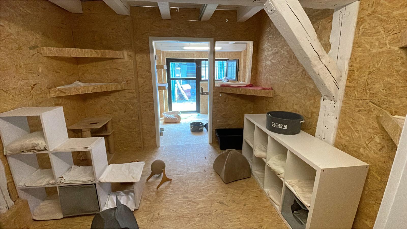 Katzenwelt Impression 7