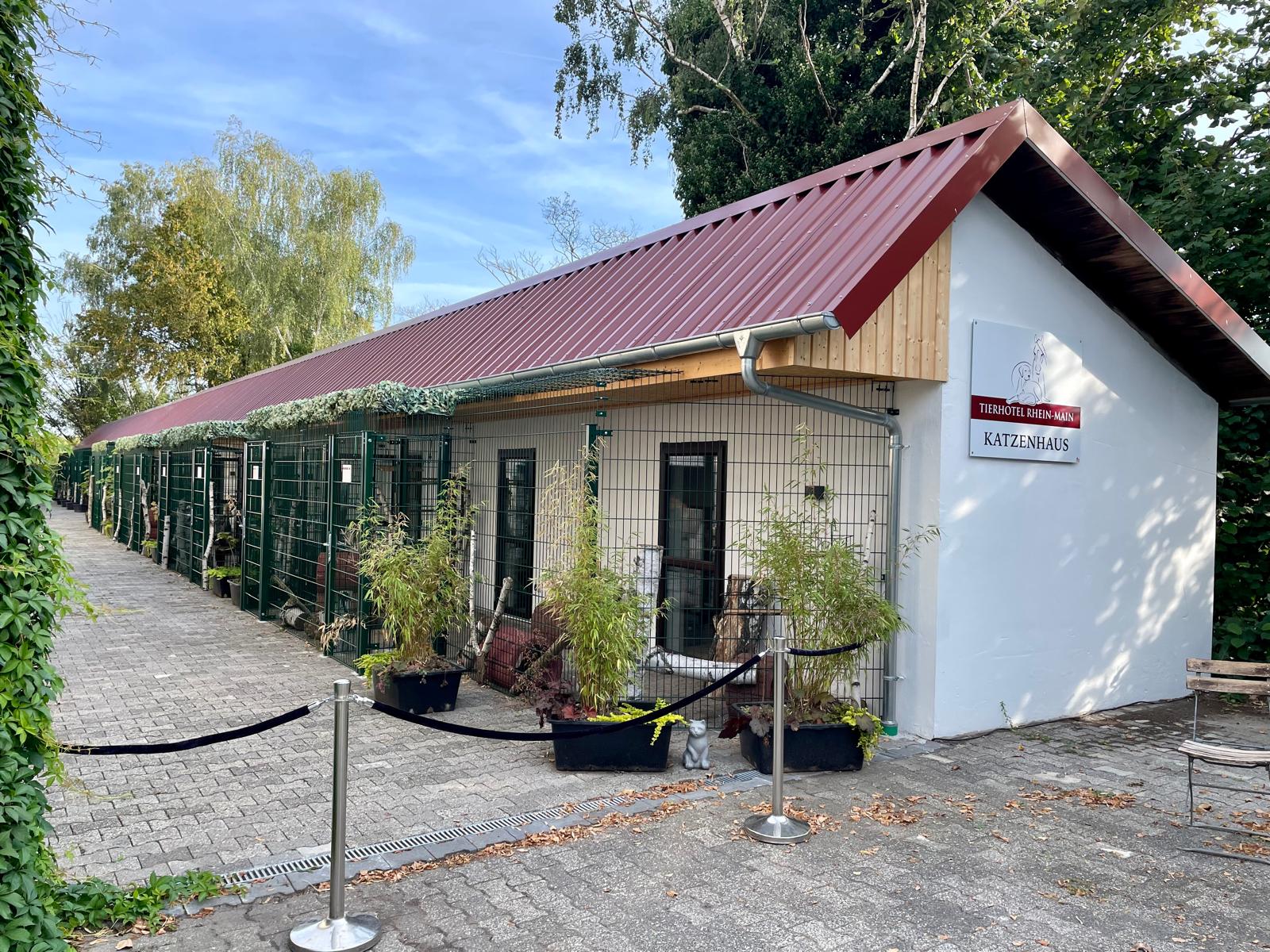 Katzenwelt Impression 8