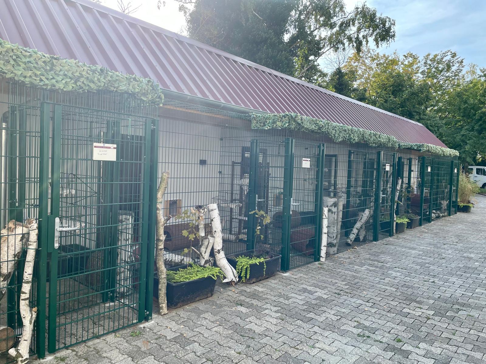 Katzenwelt Impression 9