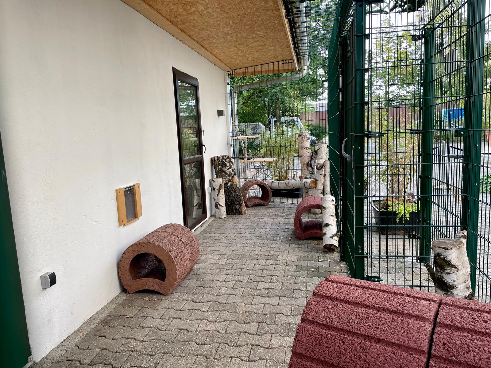 Katzenwelt Impression 10