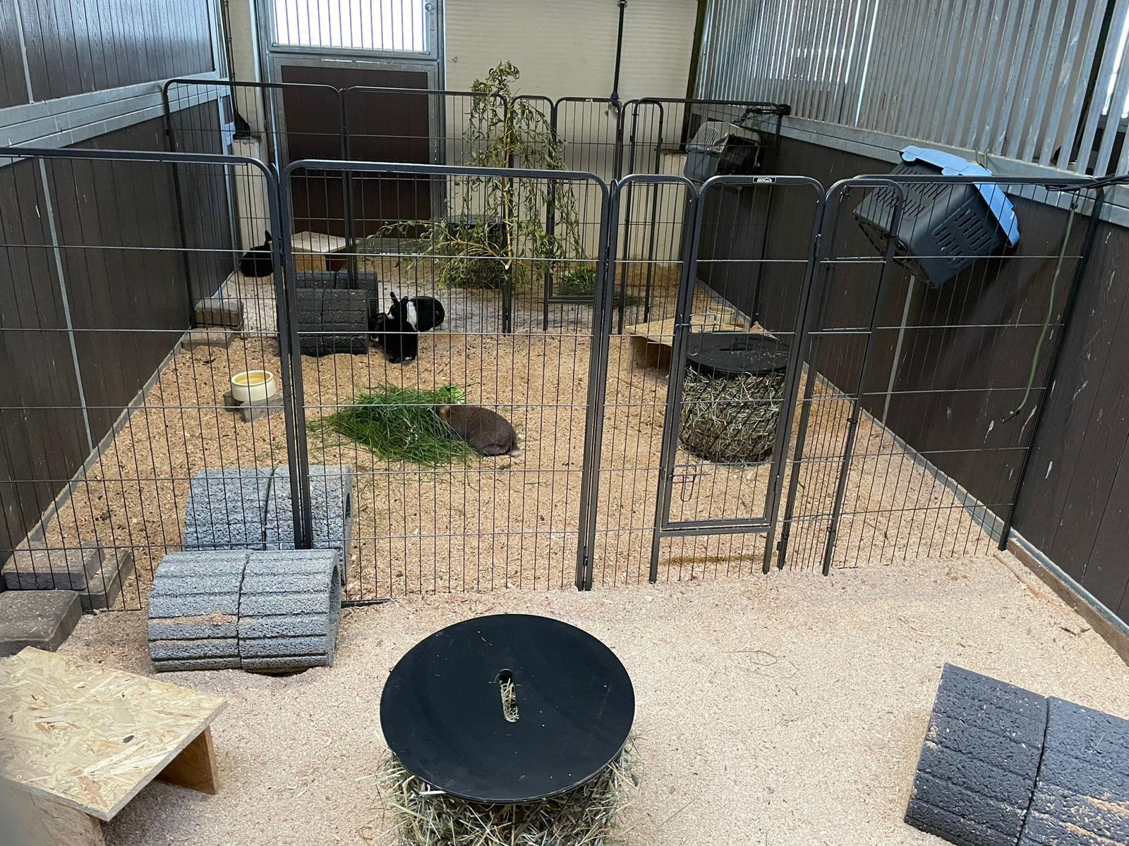 Kleintierwelt Impression 1