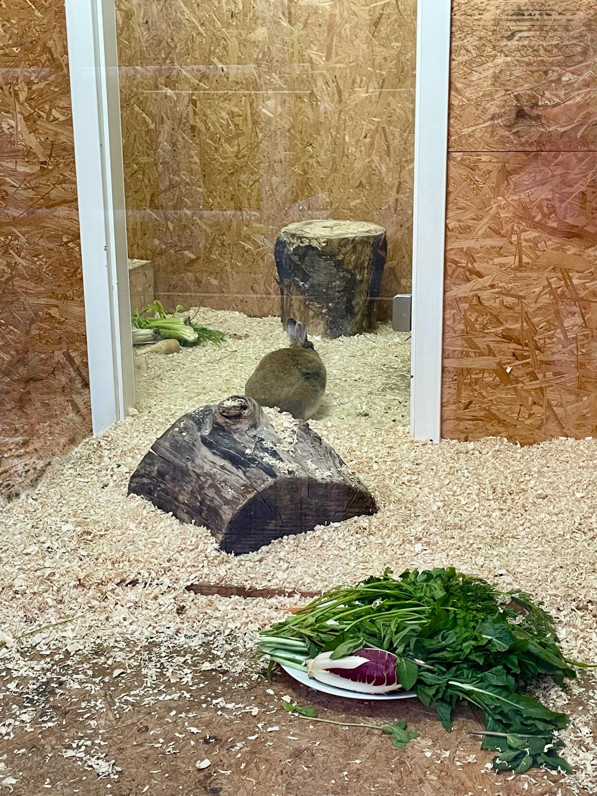 Kleintierwelt Impression 10