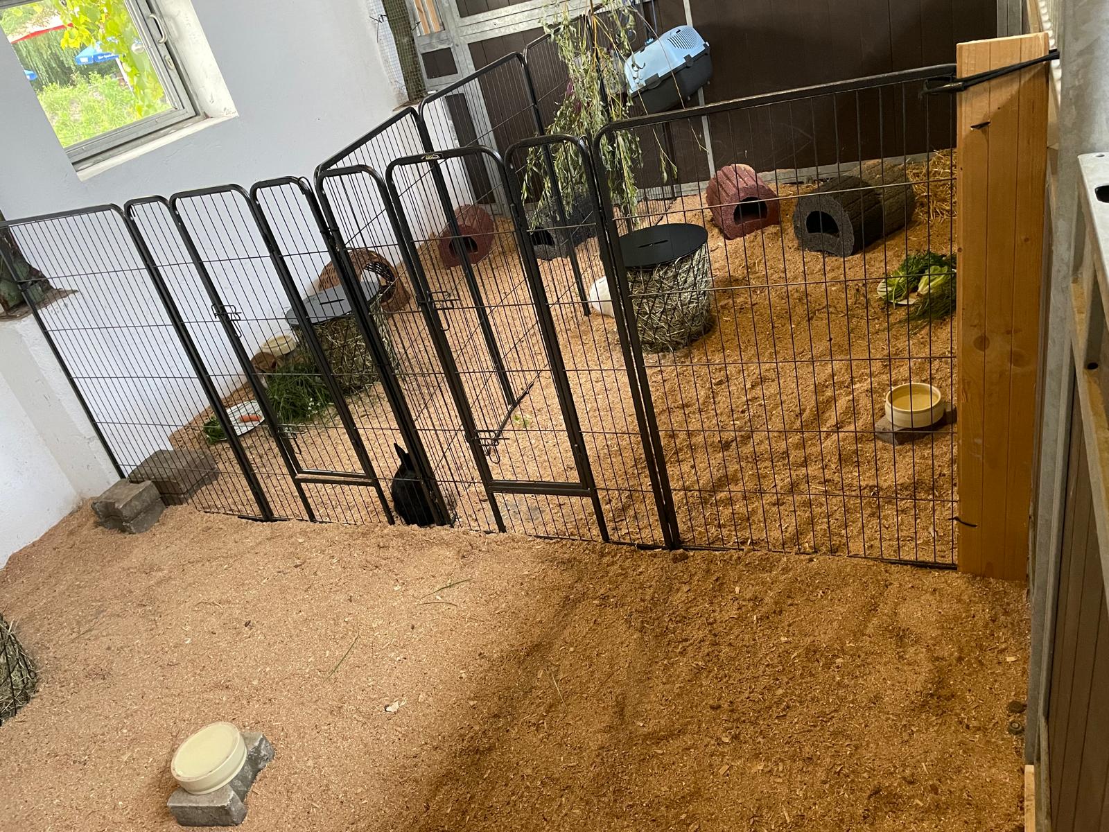 Kleintierwelt Impression 2