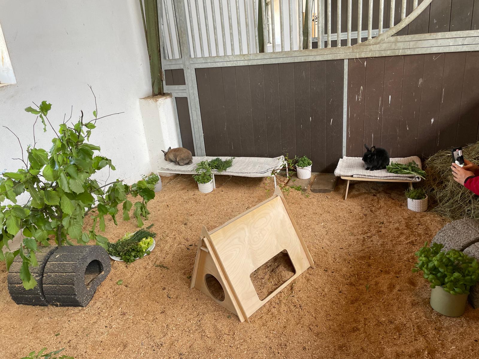 Kleintierwelt Impression 3