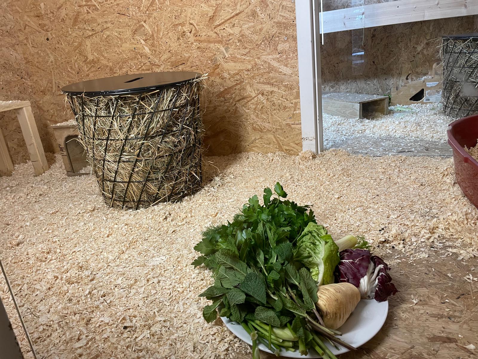 Kleintierwelt Impression 4