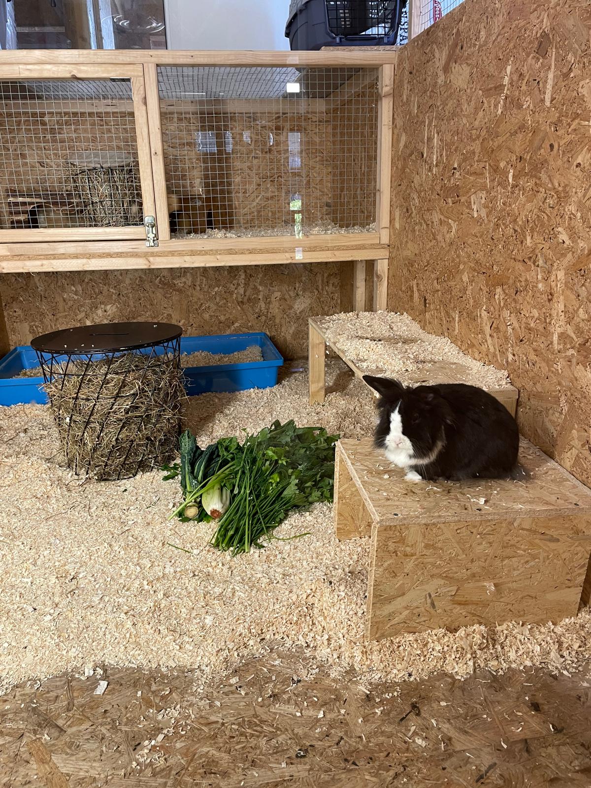 Kleintierwelt Impression 5