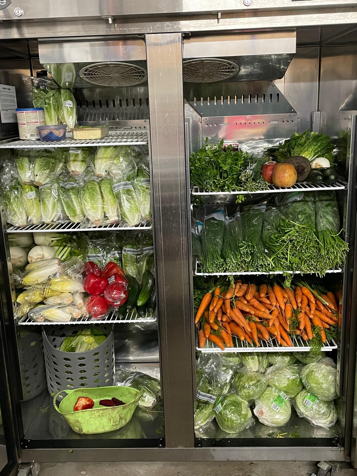 Kleintierwelt Impression 6