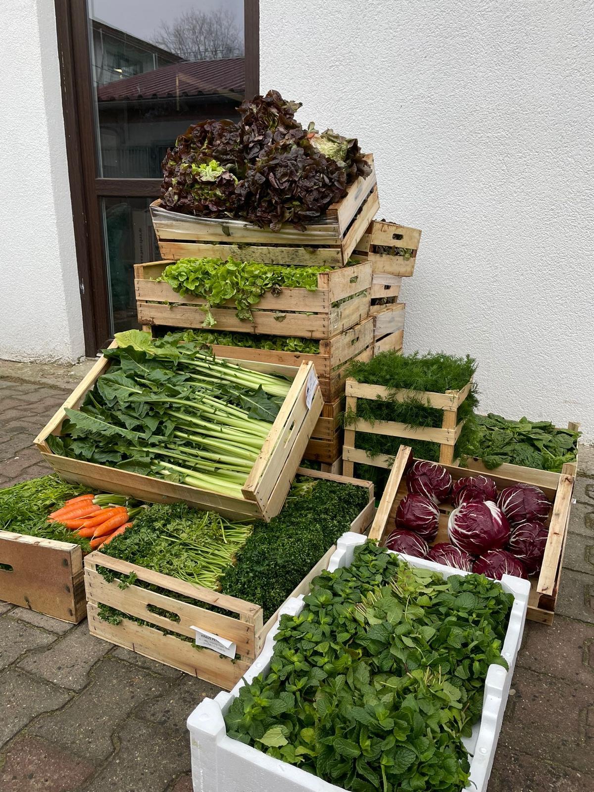 Kleintierwelt Impression 7