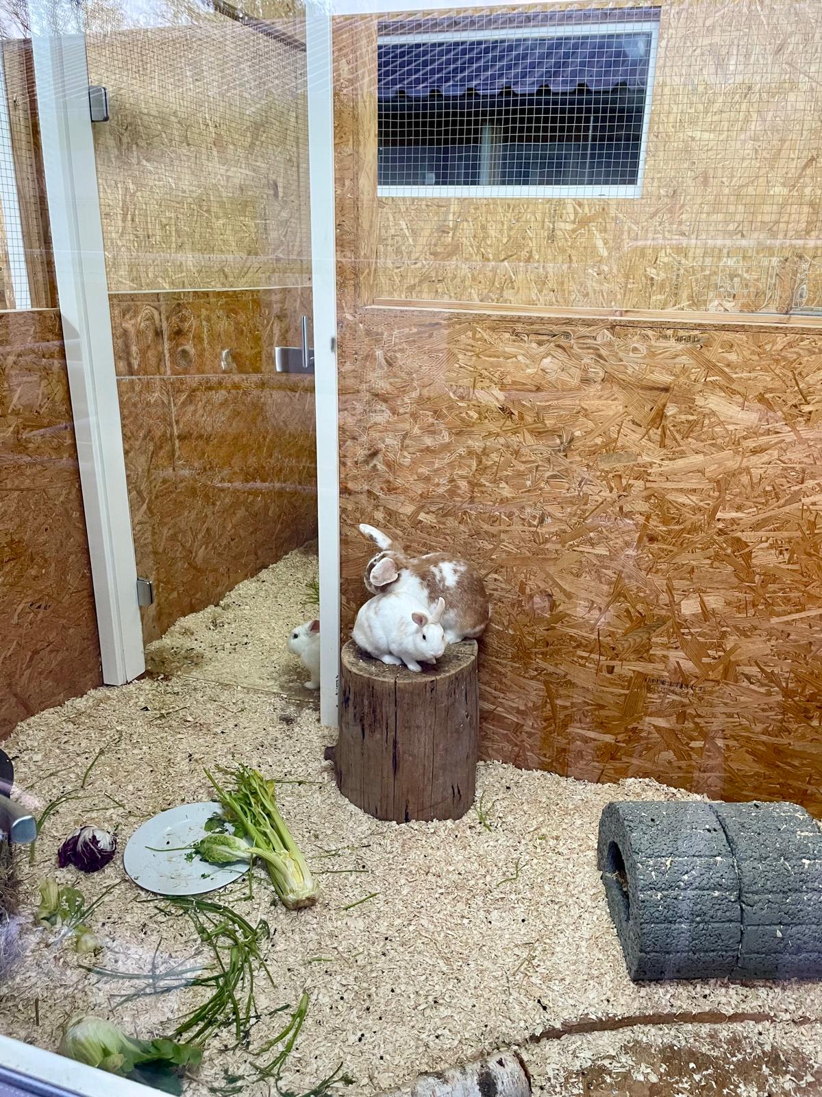 Kleintierwelt Impression 9